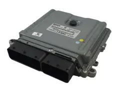 Electronic Control Unit ECM 0281013216